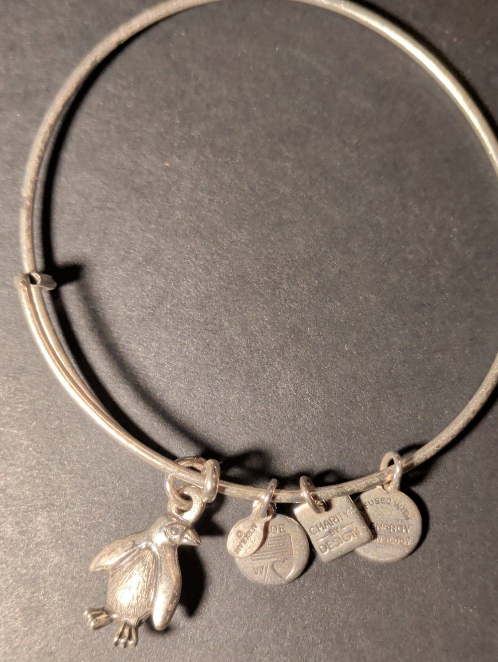Alex & Ani Penguin Charm Bracelet